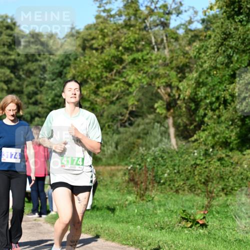 27.09.2026 - 35. Volkslauf durch das schöne Alstertal Dr. Thomas Lammeyer http://msf.ph/oto/10566148 27.09.2026 10:39:24 Laufen 3174, 4174 meine-sportfotos.de