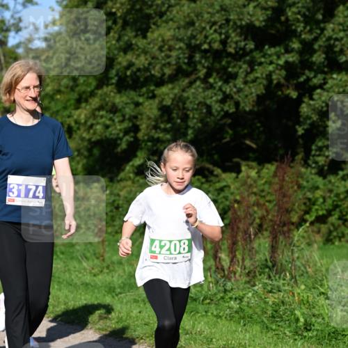 27.09.2026 - 35. Volkslauf durch das schöne Alstertal Dr. Thomas Lammeyer http://msf.ph/oto/10566168 27.09.2026 10:39:28 Laufen 3174, 4208 meine-sportfotos.de