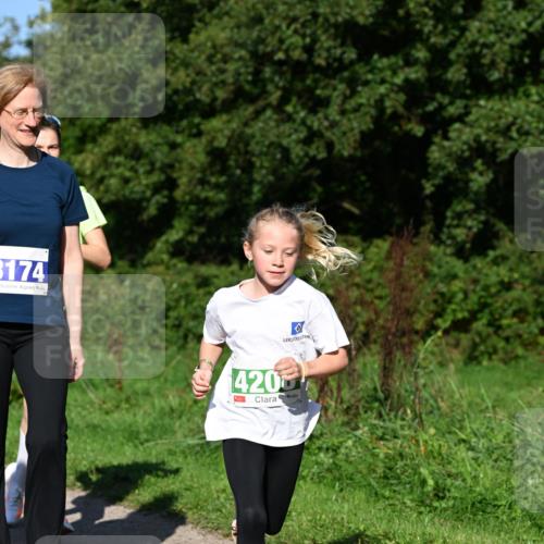 27.09.2026 - 35. Volkslauf durch das schöne Alstertal Dr. Thomas Lammeyer http://msf.ph/oto/10566169 27.09.2026 10:39:28 Laufen 3174, 4200 meine-sportfotos.de
