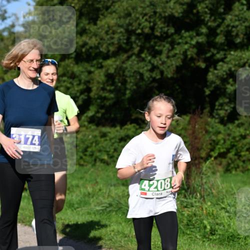 27.09.2026 - 35. Volkslauf durch das schöne Alstertal Dr. Thomas Lammeyer http://msf.ph/oto/10566170 27.09.2026 10:39:28 Laufen 3174, 4208 meine-sportfotos.de