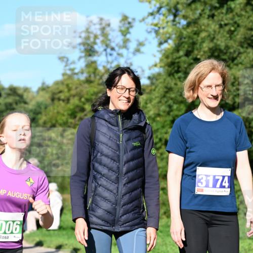 27.09.2026 - 35. Volkslauf durch das schöne Alstertal Dr. Thomas Lammeyer http://msf.ph/oto/10566175 27.09.2026 10:39:29 Laufen 006, 3174 meine-sportfotos.de