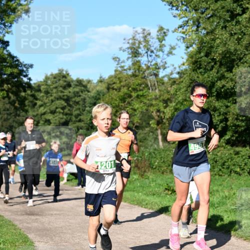 27.09.2026 - 35. Volkslauf durch das schöne Alstertal Dr. Thomas Lammeyer http://msf.ph/oto/10566185 27.09.2026 10:39:31 Laufen 41451, 1201, 4957 meine-sportfotos.de