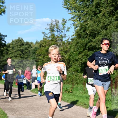 27.09.2026 - 35. Volkslauf durch das schöne Alstertal Dr. Thomas Lammeyer http://msf.ph/oto/10566189 27.09.2026 10:39:31 Laufen 4145, 4201, 400, 4957 meine-sportfotos.de