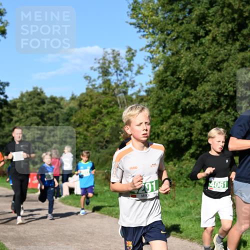 27.09.2026 - 35. Volkslauf durch das schöne Alstertal Dr. Thomas Lammeyer http://msf.ph/oto/10566192 27.09.2026 10:39:31 Laufen 201, 4061 meine-sportfotos.de