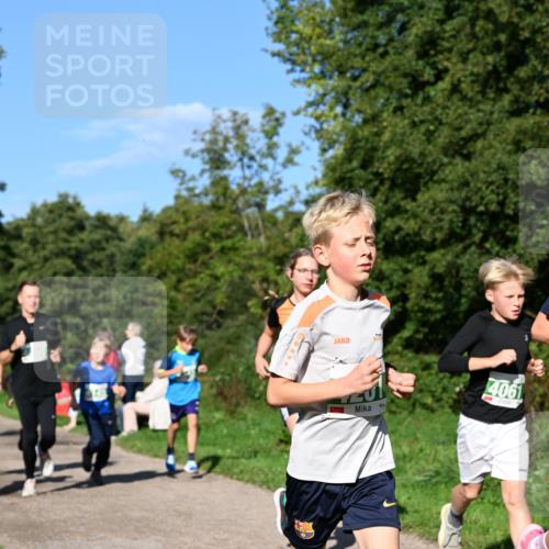 27.09.2026 - 35. Volkslauf durch das schöne Alstertal Dr. Thomas Lammeyer http://msf.ph/oto/10566193 27.09.2026 10:39:31 Laufen 20, 4061 meine-sportfotos.de