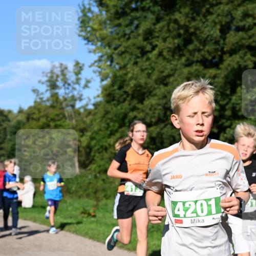 27.09.2026 - 35. Volkslauf durch das schöne Alstertal Dr. Thomas Lammeyer http://msf.ph/oto/10566194 27.09.2026 10:39:32 Laufen 4201 meine-sportfotos.de