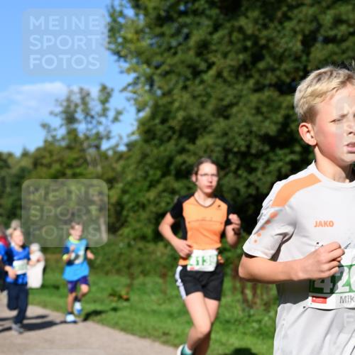 27.09.2026 - 35. Volkslauf durch das schöne Alstertal Dr. Thomas Lammeyer http://msf.ph/oto/10566195 27.09.2026 10:39:32 Laufen 1399 meine-sportfotos.de