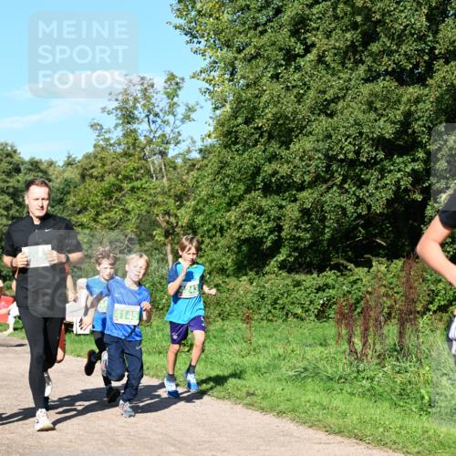 27.09.2026 - 35. Volkslauf durch das schöne Alstertal Dr. Thomas Lammeyer http://msf.ph/oto/10566199 27.09.2026 10:39:33 Laufen 4145 meine-sportfotos.de