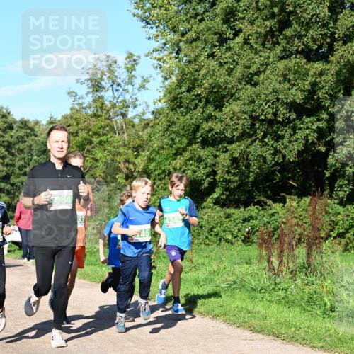 27.09.2026 - 35. Volkslauf durch das schöne Alstertal Dr. Thomas Lammeyer http://msf.ph/oto/10566202 27.09.2026 10:39:33 Laufen 064, 33, 45, 4243 meine-sportfotos.de