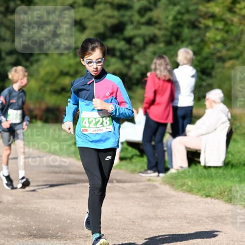 27.09.2026 - 35. Volkslauf durch das schöne Alstertal Dr. Thomas Lammeyer http://msf.ph/oto/10566233 27.09.2026 10:39:41 Laufen 4228 meine-sportfotos.de