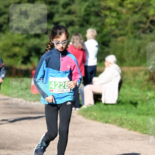 27.09.2026 - 35. Volkslauf durch das schöne Alstertal Dr. Thomas Lammeyer http://msf.ph/oto/10566237 27.09.2026 10:39:41 Laufen 4228 meine-sportfotos.de
