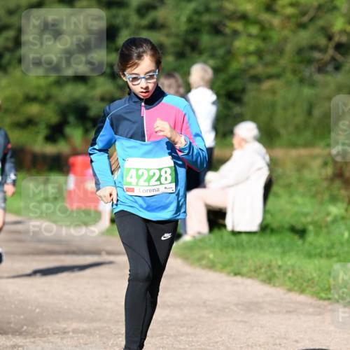 27.09.2026 - 35. Volkslauf durch das schöne Alstertal Dr. Thomas Lammeyer http://msf.ph/oto/10566238 27.09.2026 10:39:41 Laufen 4228 meine-sportfotos.de
