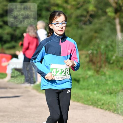 27.09.2026 - 35. Volkslauf durch das schöne Alstertal Dr. Thomas Lammeyer http://msf.ph/oto/10566243 27.09.2026 10:39:42 Laufen 4228 meine-sportfotos.de