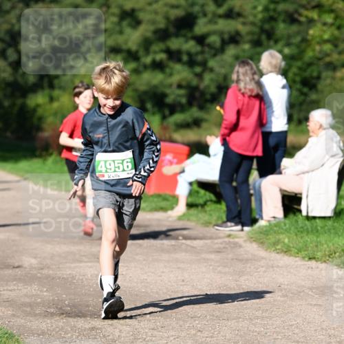 27.09.2026 - 35. Volkslauf durch das schöne Alstertal Dr. Thomas Lammeyer http://msf.ph/oto/10566245 27.09.2026 10:39:43 Laufen 4956 meine-sportfotos.de
