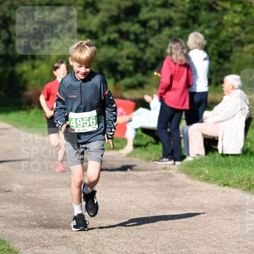 27.09.2026 - 35. Volkslauf durch das schöne Alstertal Dr. Thomas Lammeyer http://msf.ph/oto/10566247 27.09.2026 10:39:43 Laufen 4956 meine-sportfotos.de