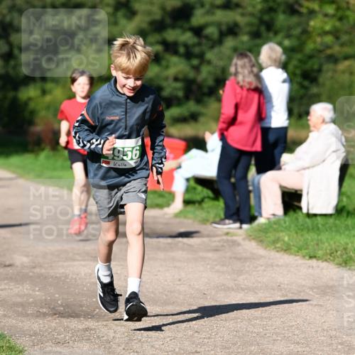 27.09.2026 - 35. Volkslauf durch das schöne Alstertal Dr. Thomas Lammeyer http://msf.ph/oto/10566248 27.09.2026 10:39:43 Laufen 4956 meine-sportfotos.de