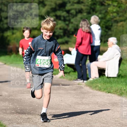 27.09.2026 - 35. Volkslauf durch das schöne Alstertal Dr. Thomas Lammeyer http://msf.ph/oto/10566249 27.09.2026 10:39:43 Laufen 4956 meine-sportfotos.de