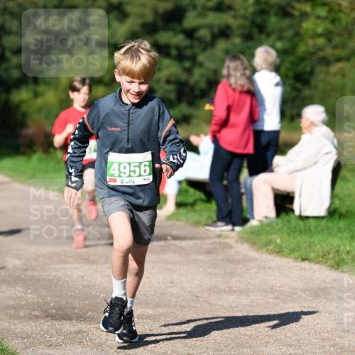 27.09.2026 - 35. Volkslauf durch das schöne Alstertal Dr. Thomas Lammeyer http://msf.ph/oto/10566250 27.09.2026 10:39:44 Laufen 4956 meine-sportfotos.de