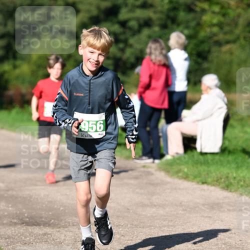 27.09.2026 - 35. Volkslauf durch das schöne Alstertal Dr. Thomas Lammeyer http://msf.ph/oto/10566253 27.09.2026 10:39:44 Laufen 956 meine-sportfotos.de