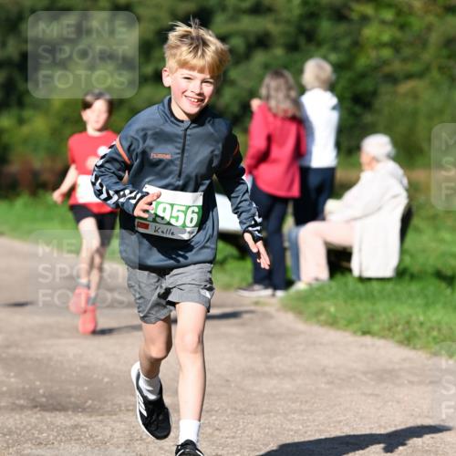27.09.2026 - 35. Volkslauf durch das schöne Alstertal Dr. Thomas Lammeyer http://msf.ph/oto/10566254 27.09.2026 10:39:44 Laufen 2956 meine-sportfotos.de