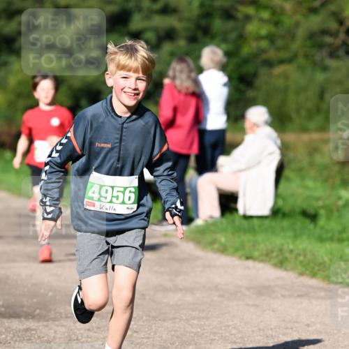 27.09.2026 - 35. Volkslauf durch das schöne Alstertal Dr. Thomas Lammeyer http://msf.ph/oto/10566255 27.09.2026 10:39:44 Laufen 4956 meine-sportfotos.de