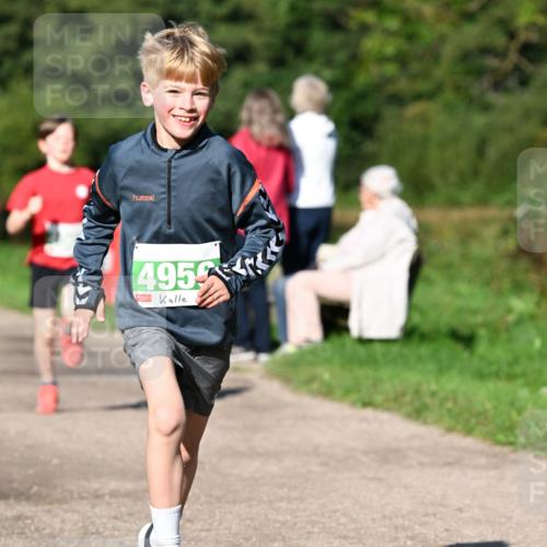 27.09.2026 - 35. Volkslauf durch das schöne Alstertal Dr. Thomas Lammeyer http://msf.ph/oto/10566256 27.09.2026 10:39:44 Laufen 4955 meine-sportfotos.de