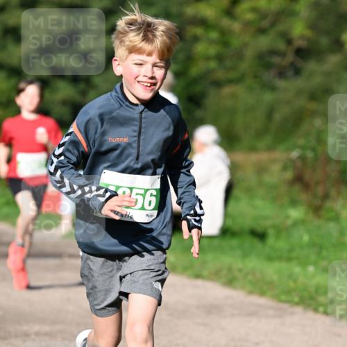 27.09.2026 - 35. Volkslauf durch das schöne Alstertal Dr. Thomas Lammeyer http://msf.ph/oto/10566260 27.09.2026 10:39:45 Laufen 5577956 meine-sportfotos.de