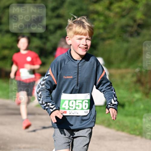 27.09.2026 - 35. Volkslauf durch das schöne Alstertal Dr. Thomas Lammeyer http://msf.ph/oto/10566261 27.09.2026 10:39:45 Laufen 4956 meine-sportfotos.de