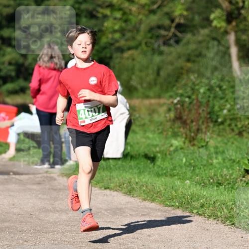 27.09.2026 - 35. Volkslauf durch das schöne Alstertal Dr. Thomas Lammeyer http://msf.ph/oto/10566268 27.09.2026 10:39:46 Laufen 4007 meine-sportfotos.de