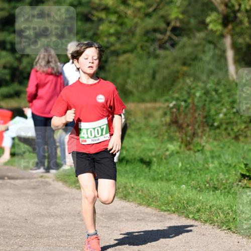 27.09.2026 - 35. Volkslauf durch das schöne Alstertal Dr. Thomas Lammeyer http://msf.ph/oto/10566269 27.09.2026 10:39:46 Laufen 4007 meine-sportfotos.de