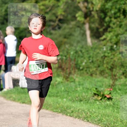 27.09.2026 - 35. Volkslauf durch das schöne Alstertal Dr. Thomas Lammeyer http://msf.ph/oto/10566274 27.09.2026 10:39:47 Laufen 4007 meine-sportfotos.de
