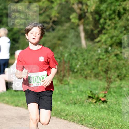 27.09.2026 - 35. Volkslauf durch das schöne Alstertal Dr. Thomas Lammeyer http://msf.ph/oto/10566275 27.09.2026 10:39:47 Laufen 4003 meine-sportfotos.de