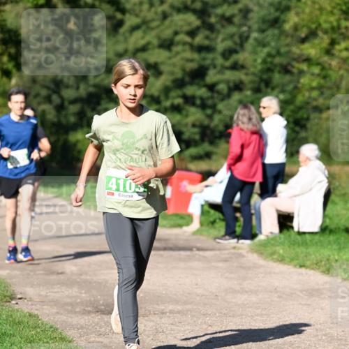 27.09.2026 - 35. Volkslauf durch das schöne Alstertal Dr. Thomas Lammeyer http://msf.ph/oto/10566278 27.09.2026 10:39:48 Laufen 4105 meine-sportfotos.de