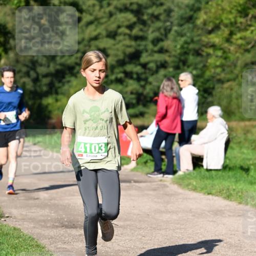 27.09.2026 - 35. Volkslauf durch das schöne Alstertal Dr. Thomas Lammeyer http://msf.ph/oto/10566279 27.09.2026 10:39:48 Laufen 14103 meine-sportfotos.de