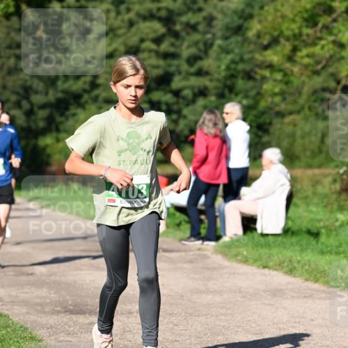 27.09.2026 - 35. Volkslauf durch das schöne Alstertal Dr. Thomas Lammeyer http://msf.ph/oto/10566280 27.09.2026 10:39:48 Laufen 4103 meine-sportfotos.de