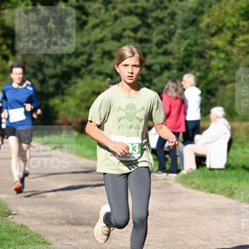 27.09.2026 - 35. Volkslauf durch das schöne Alstertal Dr. Thomas Lammeyer http://msf.ph/oto/10566282 27.09.2026 10:39:49 Laufen 3 meine-sportfotos.de