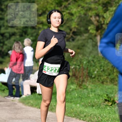 27.09.2026 - 35. Volkslauf durch das schöne Alstertal Dr. Thomas Lammeyer http://msf.ph/oto/10566312 27.09.2026 10:39:53 Laufen  meine-sportfotos.de