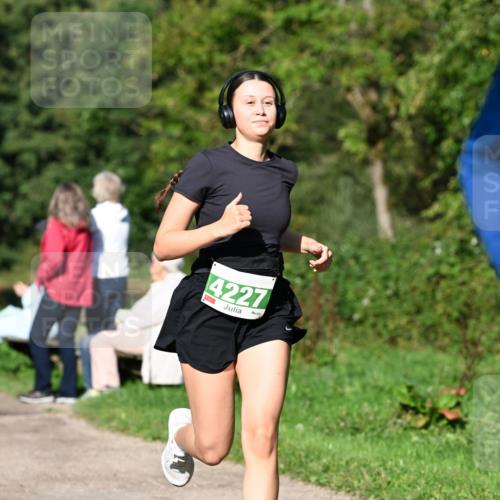 27.09.2026 - 35. Volkslauf durch das schöne Alstertal Dr. Thomas Lammeyer http://msf.ph/oto/10566314 27.09.2026 10:39:53 Laufen 4227 meine-sportfotos.de