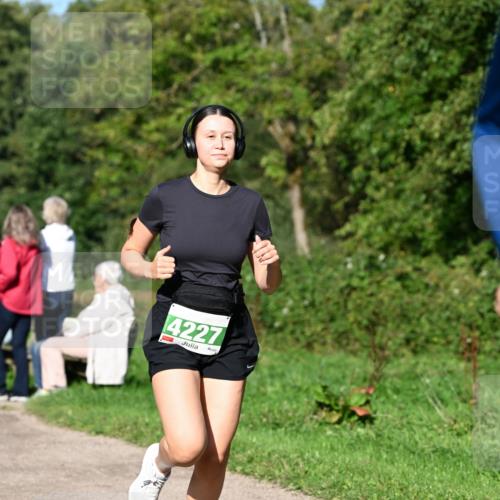 27.09.2026 - 35. Volkslauf durch das schöne Alstertal Dr. Thomas Lammeyer http://msf.ph/oto/10566315 27.09.2026 10:39:53 Laufen 4227 meine-sportfotos.de