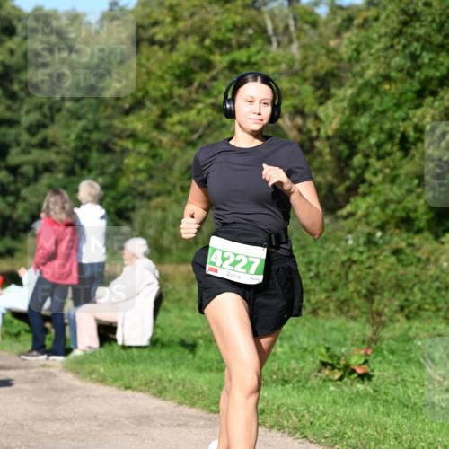 27.09.2026 - 35. Volkslauf durch das schöne Alstertal Dr. Thomas Lammeyer http://msf.ph/oto/10566316 27.09.2026 10:39:54 Laufen 4227 meine-sportfotos.de