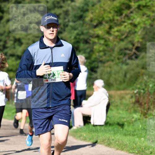 27.09.2026 - 35. Volkslauf durch das schöne Alstertal Dr. Thomas Lammeyer http://msf.ph/oto/10566331 27.09.2026 10:39:56 Laufen 4232 meine-sportfotos.de