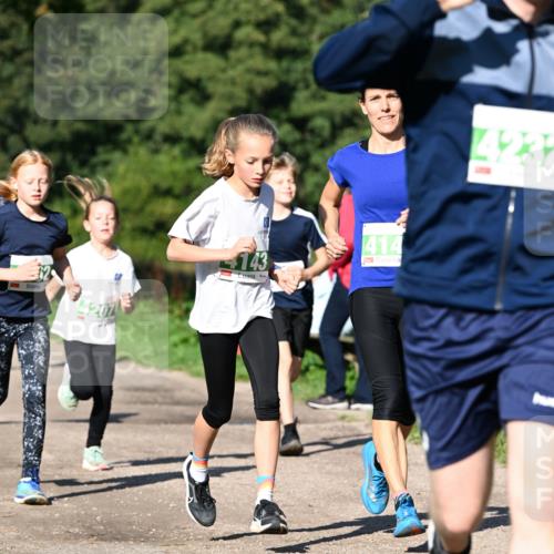 27.09.2026 - 35. Volkslauf durch das schöne Alstertal Dr. Thomas Lammeyer http://msf.ph/oto/10566335 27.09.2026 10:39:57 Laufen 4207, 143, 414, 423 meine-sportfotos.de