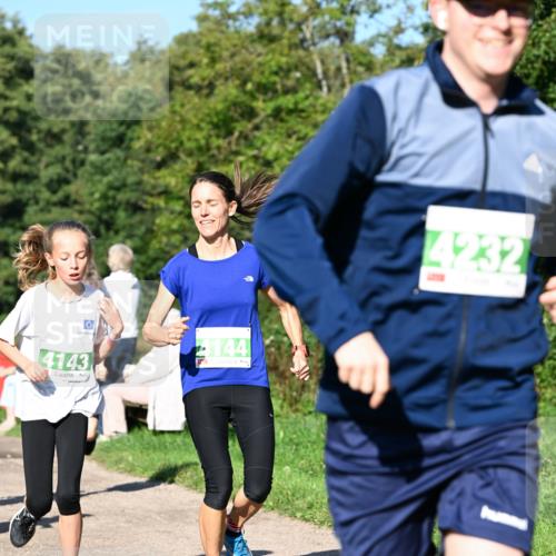 27.09.2026 - 35. Volkslauf durch das schöne Alstertal Dr. Thomas Lammeyer http://msf.ph/oto/10566340 27.09.2026 10:39:58 Laufen 144, 4143, 2 meine-sportfotos.de
