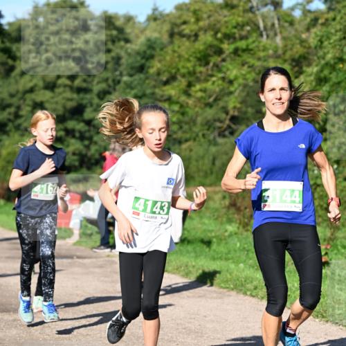27.09.2026 - 35. Volkslauf durch das schöne Alstertal Dr. Thomas Lammeyer http://msf.ph/oto/10566345 27.09.2026 10:39:58 Laufen 4162, 144, 4143 meine-sportfotos.de