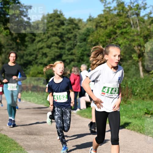 27.09.2026 - 35. Volkslauf durch das schöne Alstertal Dr. Thomas Lammeyer http://msf.ph/oto/10566348 27.09.2026 10:39:59 Laufen 4162, 4143 meine-sportfotos.de