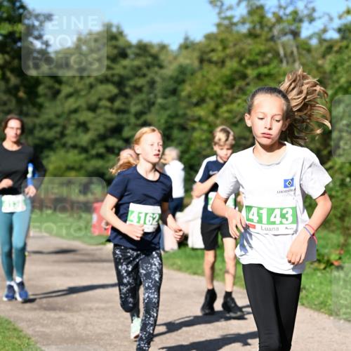 27.09.2026 - 35. Volkslauf durch das schöne Alstertal Dr. Thomas Lammeyer http://msf.ph/oto/10566350 27.09.2026 10:39:59 Laufen 4162, 4143 meine-sportfotos.de