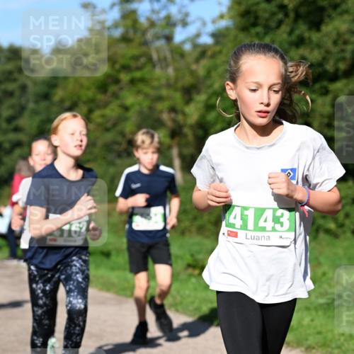 27.09.2026 - 35. Volkslauf durch das schöne Alstertal Dr. Thomas Lammeyer http://msf.ph/oto/10566355 27.09.2026 10:40:00 Laufen 4143 meine-sportfotos.de