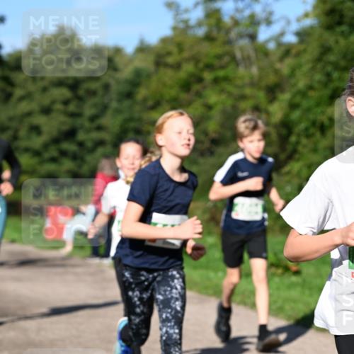 27.09.2026 - 35. Volkslauf durch das schöne Alstertal Dr. Thomas Lammeyer http://msf.ph/oto/10566356 27.09.2026 10:40:00 Laufen  meine-sportfotos.de