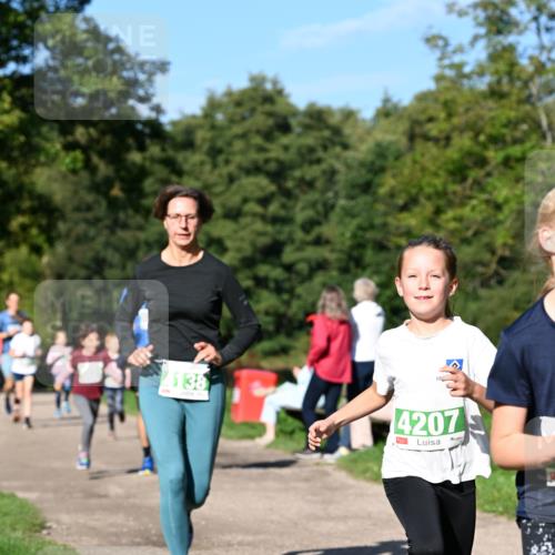 27.09.2026 - 35. Volkslauf durch das schöne Alstertal Dr. Thomas Lammeyer http://msf.ph/oto/10566357 27.09.2026 10:40:01 Laufen 4138, 4207 meine-sportfotos.de