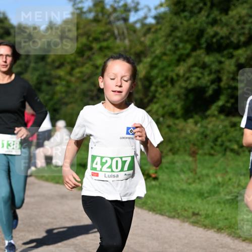 27.09.2026 - 35. Volkslauf durch das schöne Alstertal Dr. Thomas Lammeyer http://msf.ph/oto/10566362 27.09.2026 10:40:01 Laufen 4138, 4207 meine-sportfotos.de
